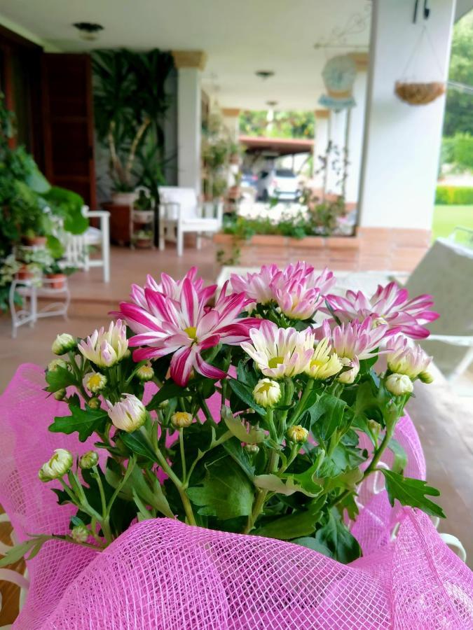 B&B Il Cantico Greccio ภายนอก รูปภาพ