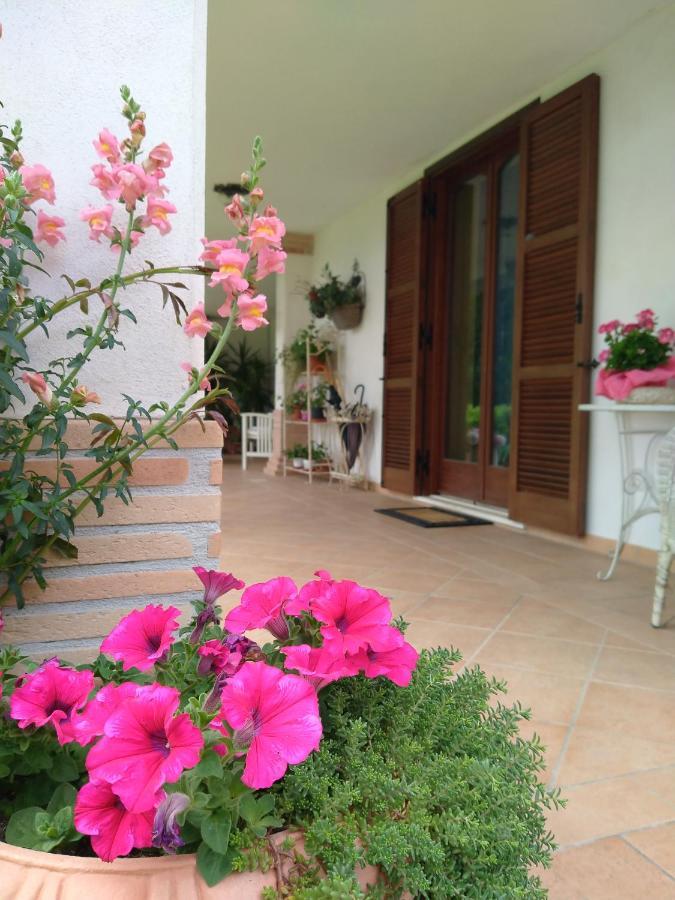 B&B Il Cantico Greccio ภายนอก รูปภาพ