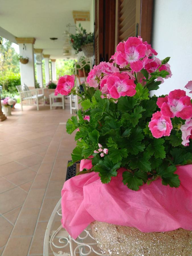 B&B Il Cantico Greccio ภายนอก รูปภาพ