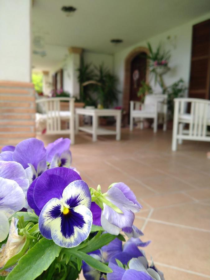 B&B Il Cantico Greccio ภายนอก รูปภาพ