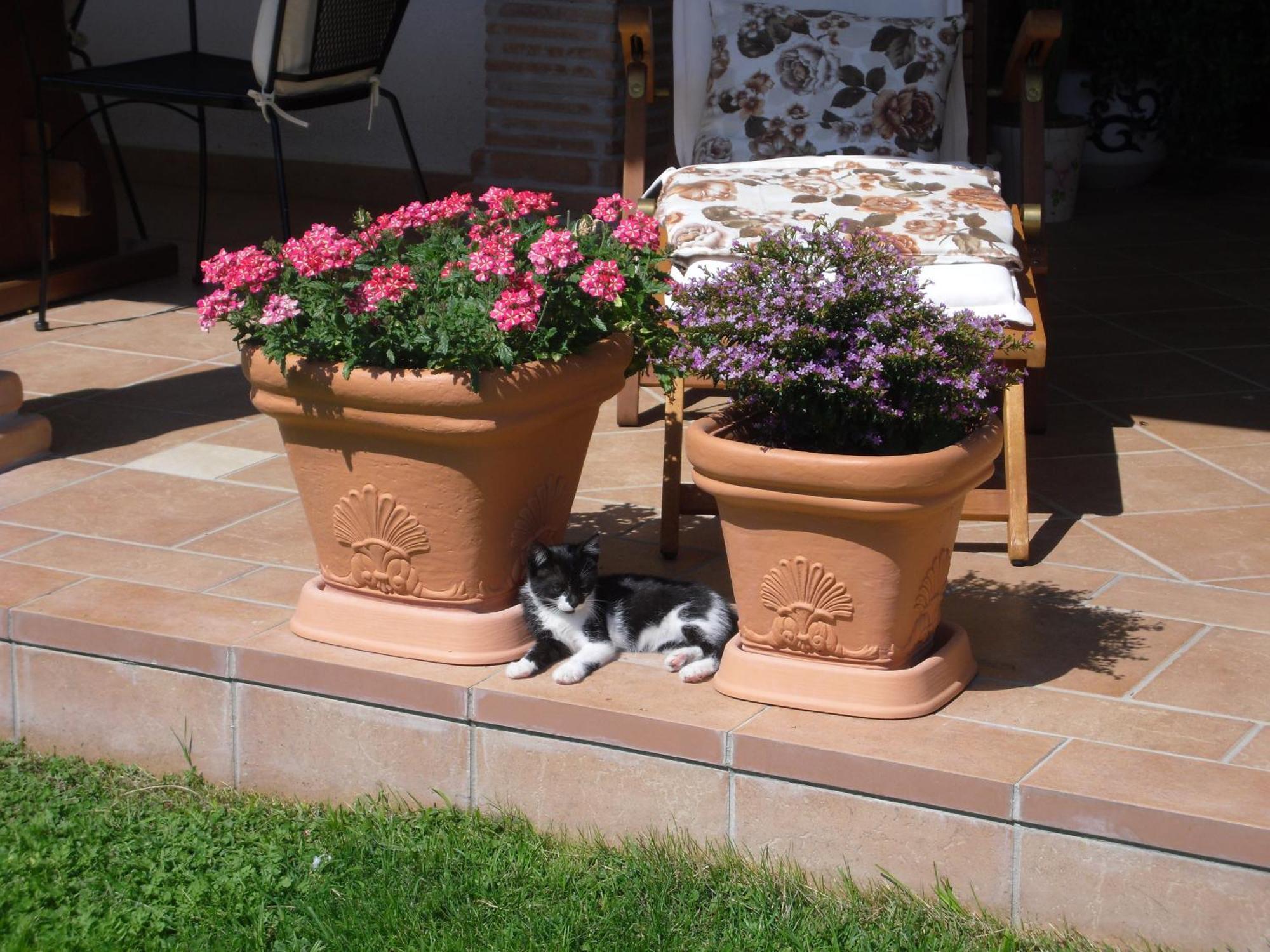 B&B Il Cantico Greccio ห้อง รูปภาพ